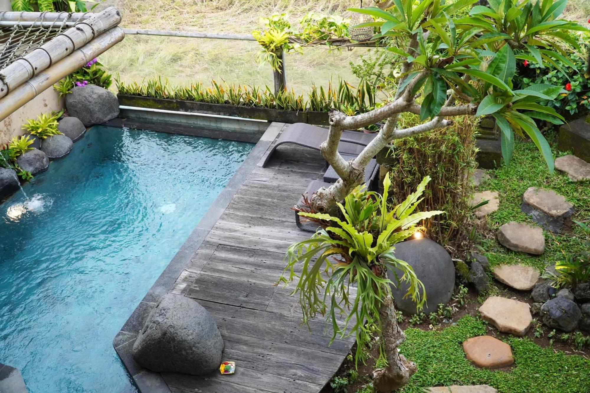Gesing Mas Villa